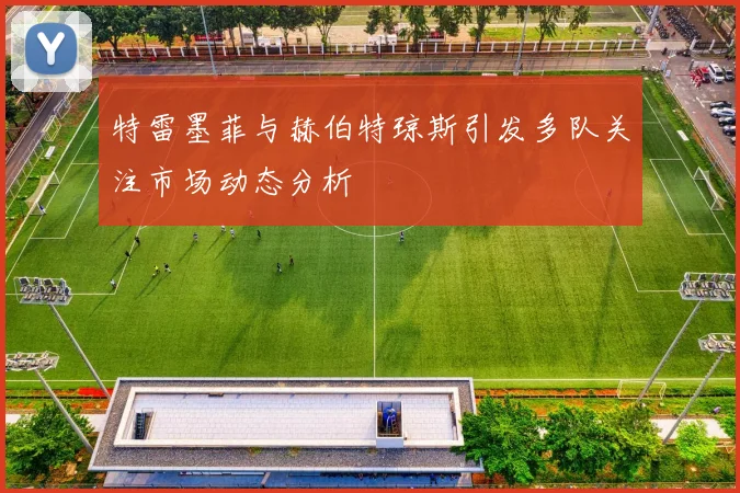 特雷墨菲与赫伯特琼斯引发多队关注市场动态分析