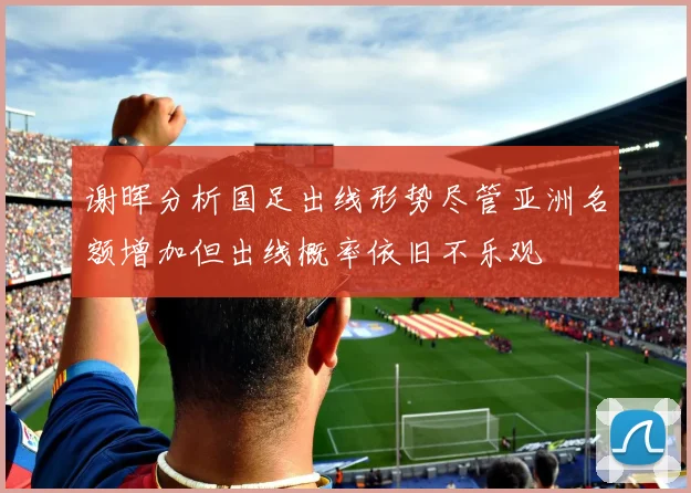 谢晖分析国足出线形势尽管亚洲名额增加但出线概率依旧不乐观