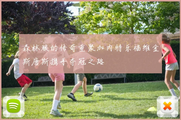 森林狼的传奇重聚加内特乐福维金斯唐斯携手夺冠之路
